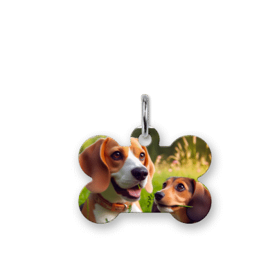 Médaillons animaux