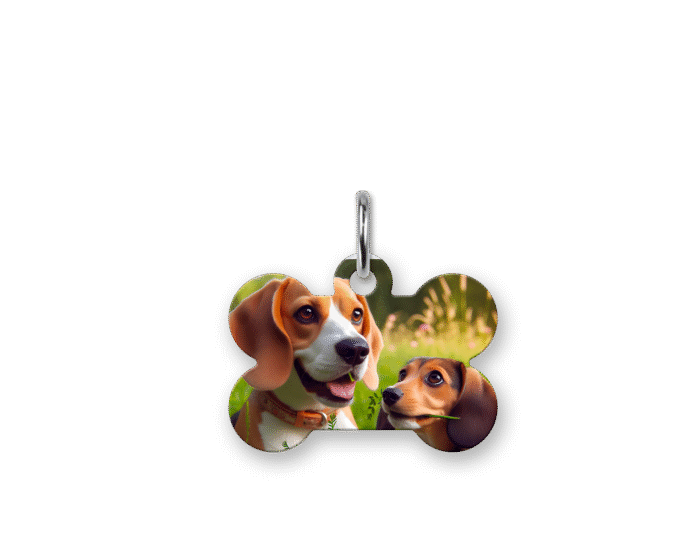 Médaillons animaux